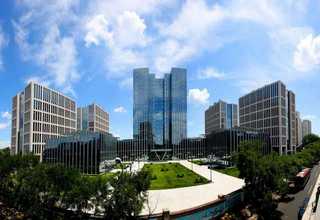 拱墅区景点植物租赁服务