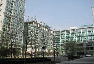 抚顺和田玉手镯视频